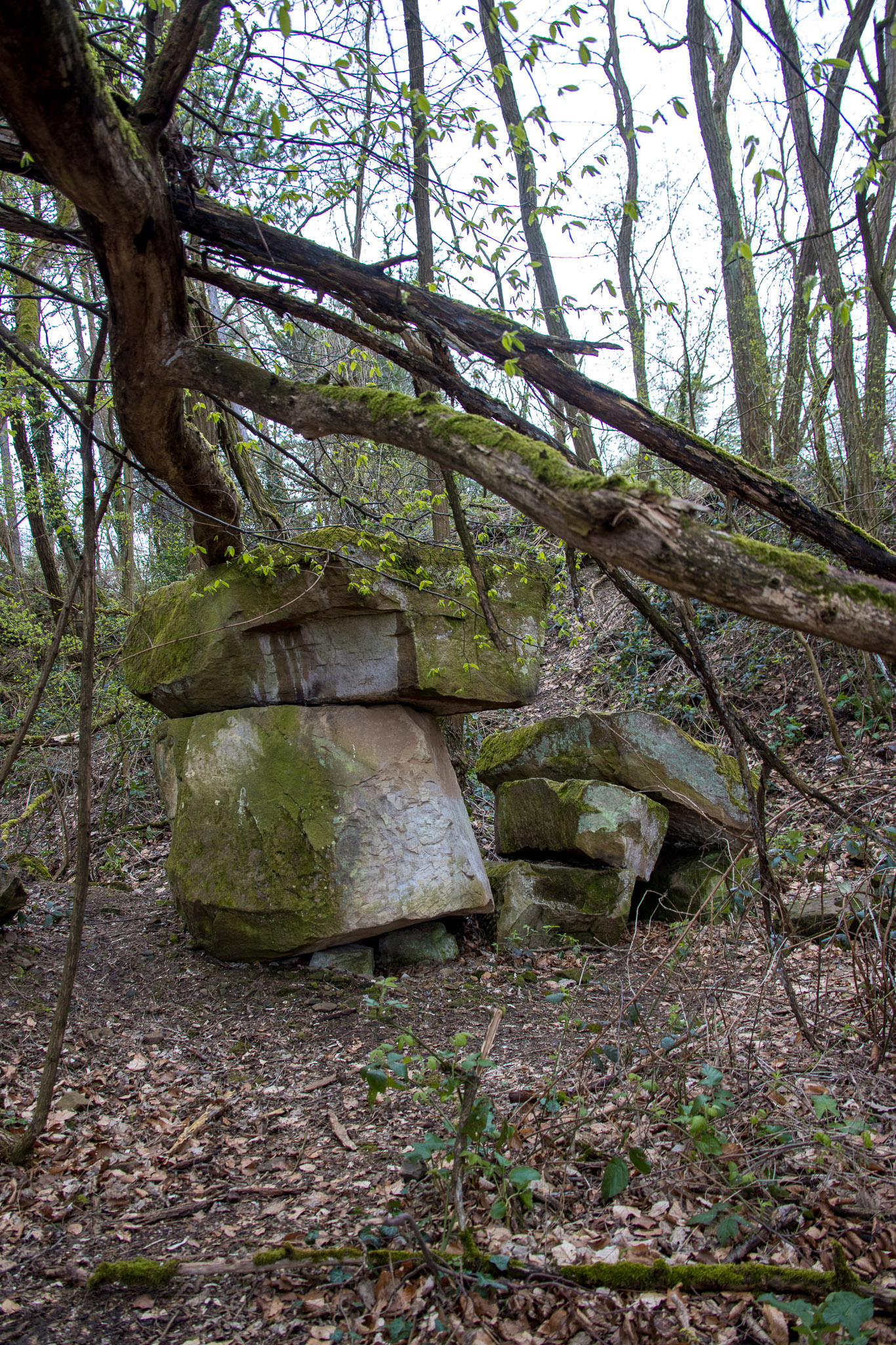 20220410112838 R5D 2030